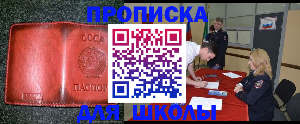 прописка в квартире в Чкаловске